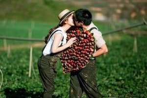 Top 5 địa điểm cho các cặp đôi nên 