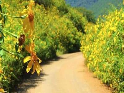 KINH NGHIỆM CHỌN TOUR DU LỊCH MỘT NGÀY Ở ĐÀ LẠT