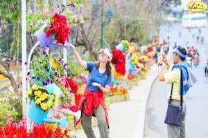 Đà Lạt rực rỡ sắc hoa trước giờ khai mạc 