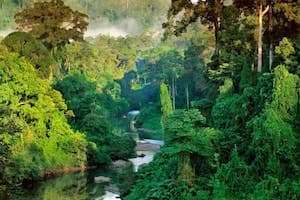 Khám phá “Vùng đất của chim mỏ sừng” - Sarawak tại Malaysia.