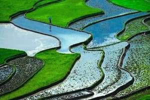 Ruộng bậc thang Việt Nam vào top 10 cảnh đẹp thế giới - Hào khí bốn phương