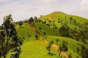 Sẽ có bảng chỉ dẫn suốt tuyến trekking Tà Năng - Phan Dũng