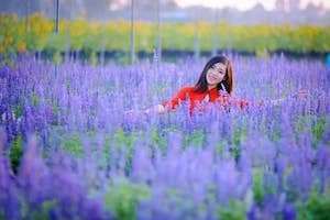 Lạc vào thế giới thần tiên - Cánh đồng hoa Oải Hương tại Đồng Nai - Sắc tím bao phủ khắp trời