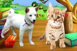 Những sân bay thuê động vật thay người làm việc