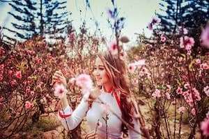 Đà Lạt rực sắc Mai Anh Đào những ngày đầu Xuân...