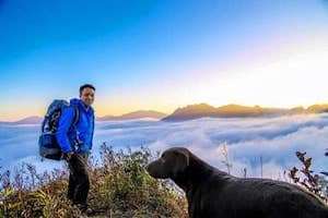 Kỹ năng sống sót khi bị lạc giữa rừng sâu