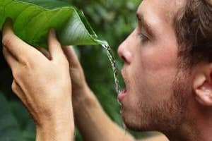 19 kỹ năng sinh tồn đơn giản, dễ nhớ hiệu quả