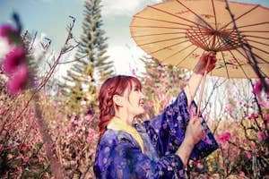 Lạc bước vào vườn Đào Đà Lạt - Xứ sở thần tiên nơi cao nguyên sương mù...