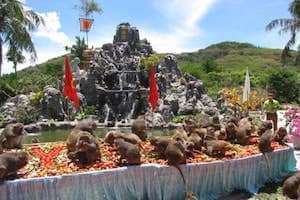 Những hòn đảo khỉ không thể bỏ qua khi đi du lịch năm Thân