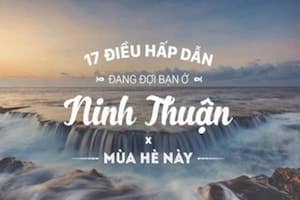 17 trải nghiệm tuyệt vời đang đợi bạn ở Ninh Thuận 