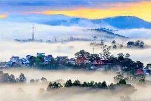 Chốn bồng lai 