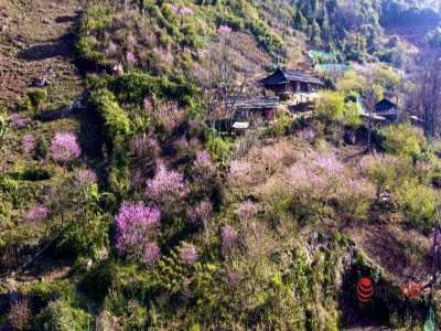 CHUYẾN DU XUÂN Ở TÀ XÙA