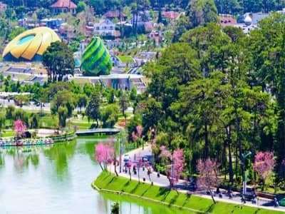Kinh nghiệm khi đi du lịch Đà Lạt