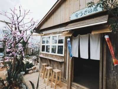Vườn Yên Coffee vẻ đẹp của Nhật Bản thu nhỏ tại Đà Lạt