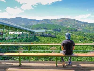 Mê Linh Coffee Garden - quán cà phê view xịn ngoại ô Đà Lạt