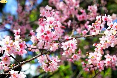 dalat canyon tour dalat canyon tour