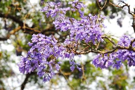dalat canyon tour dalat canyon tour