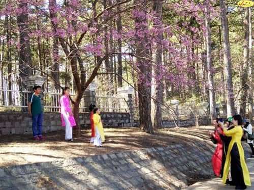 dalat canyon tour dalat canyon tour