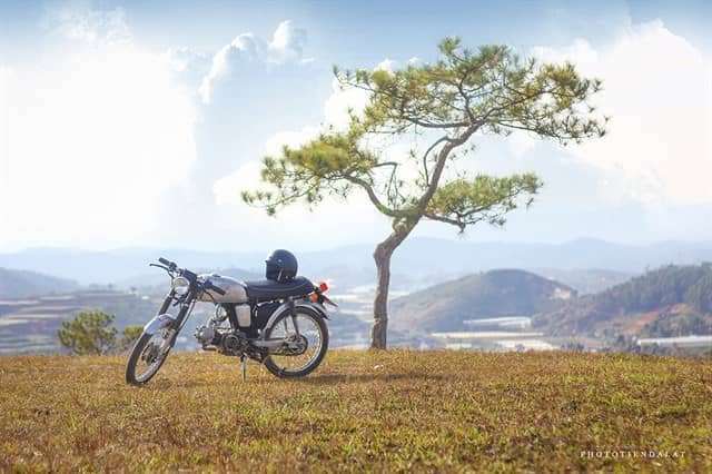 đạp xe địa hình tại Đà Lạt đạp xe địa hình tại Đà Lạt