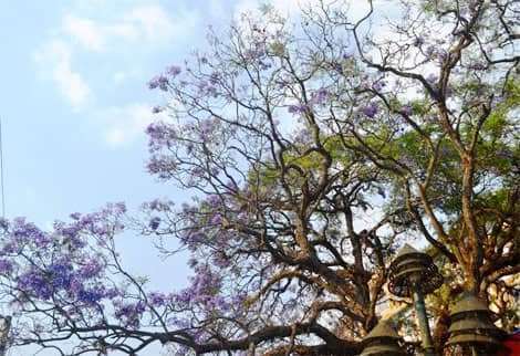 dalat canyon tour dalat canyon tour