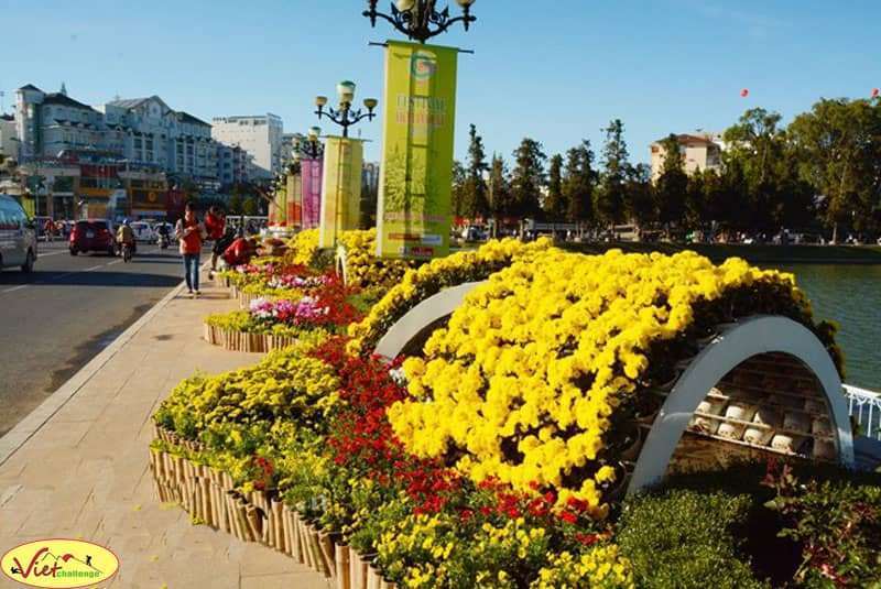 Festival Hoa Đ&agrave; Lạt