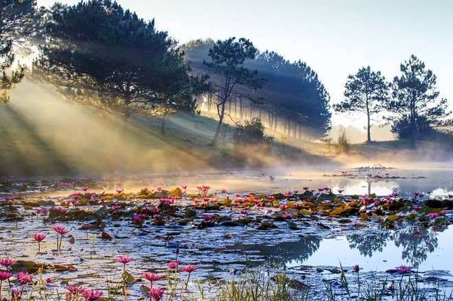 dalat canyon tour dalat canyon tour