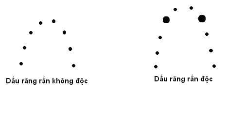 Mẹo hay trong cuộc sống