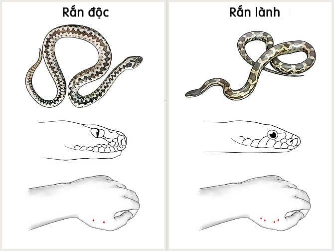 Mẹo hay trong cuộc sống