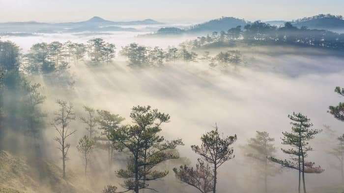 đạp xe địa h&igrave;nh ở Đ&agrave; Lạt