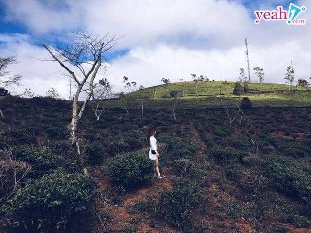 chèo thuyền vượt ghềnh thác trên sông chèo thuyền vượt ghềnh thác trên sông