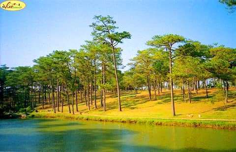 du lịch Đà Lạt du lịch Đà Lạt