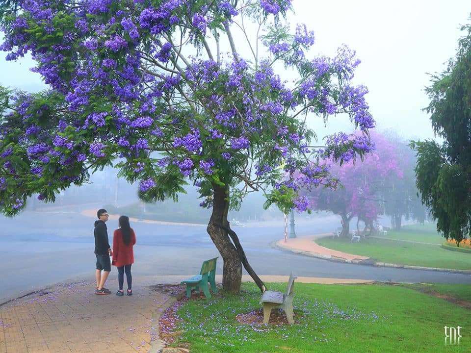 đu dây vượt thác tại Đà Lạt đu dây vượt thác tại Đà Lạt
