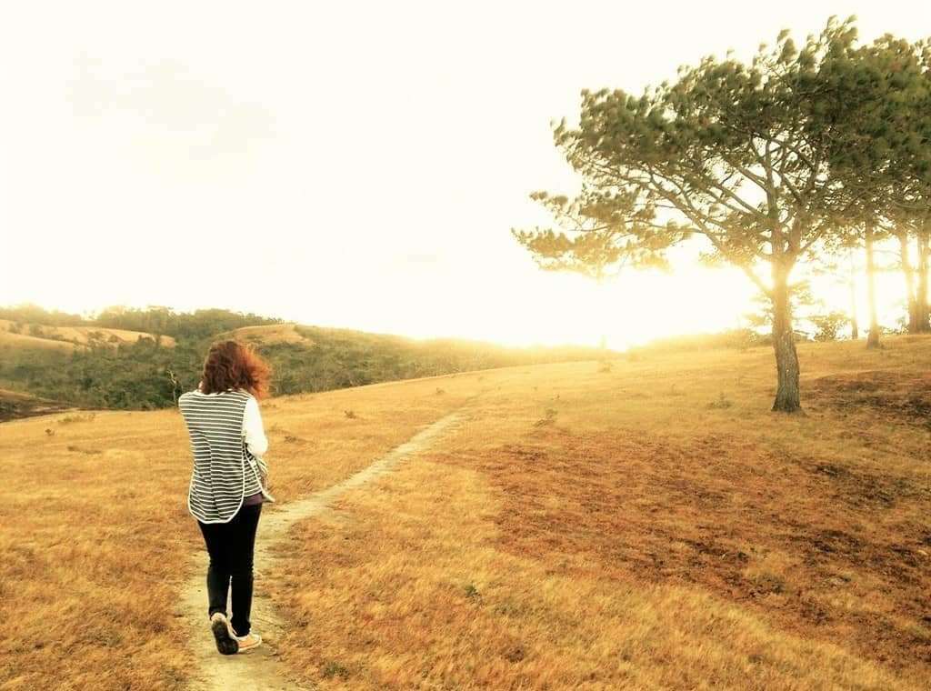 du lịch Đà Lạt du lịch Đà Lạt