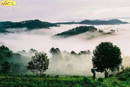 du lịch Đ&agrave; Lạt