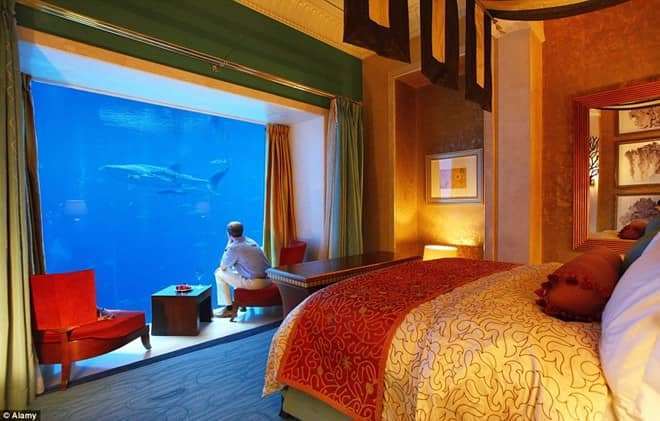du lịch mạo hiểm ở đà lạt du lịch mạo hiểm ở đà lạt