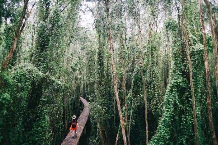 du lịch mạo hiểm tại Đà Lạt du lịch mạo hiểm tại Đà Lạt