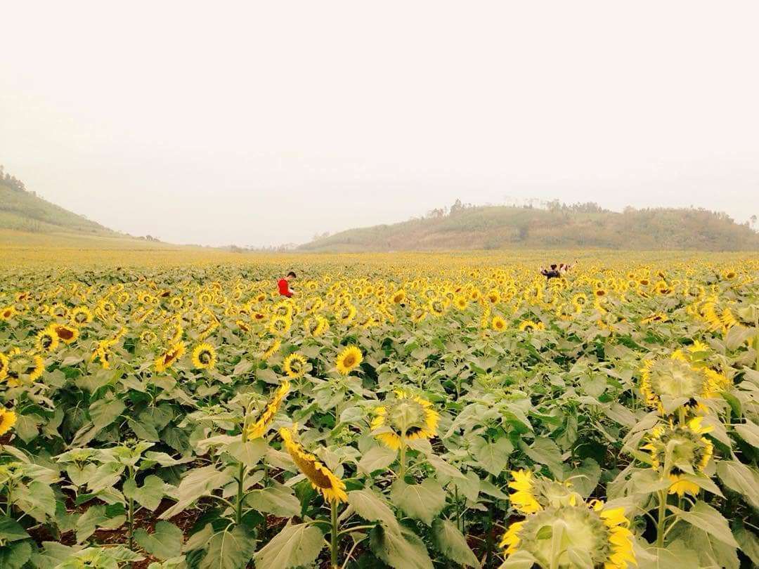 du lịch mạo hiểm tại Đ&agrave; Lạt