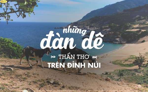 dalat rafting dalat rafting