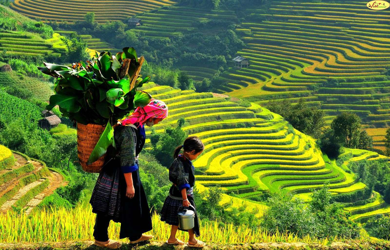 xe đạp địa hình Đà Lạt xe đạp địa hình Đà Lạt