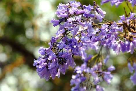 dalat canyon tour dalat canyon tour