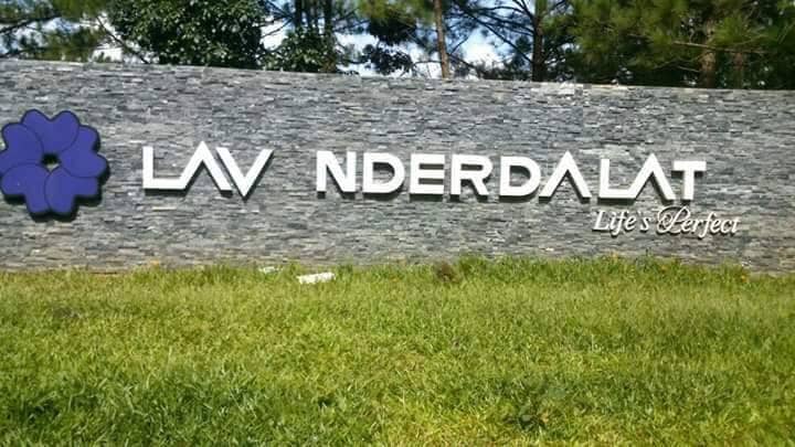 ưd