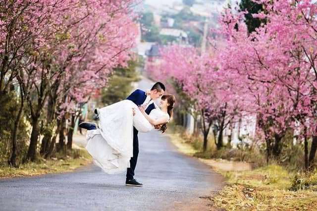 du lịch đà lạt du lịch đà lạt