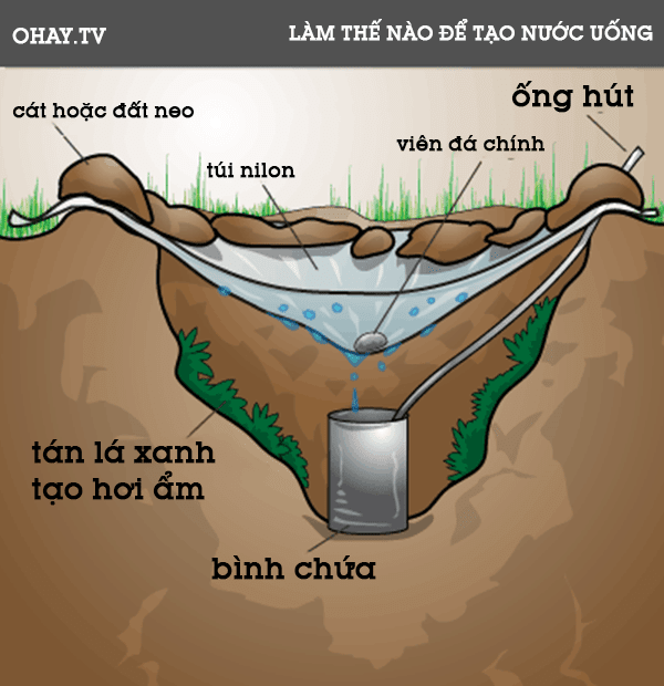 Mẹo hay trong cuộc sống