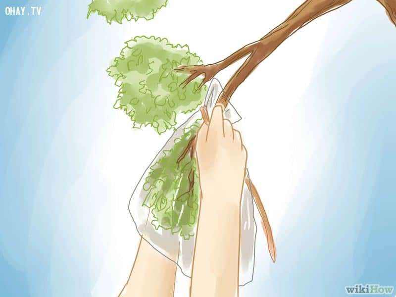 Mẹo hay trong cuộc sống