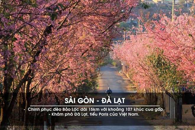 Cuồng ch&acirc;n tr&ecirc;n những cung đường phượt đẹp nhất Việt Nam