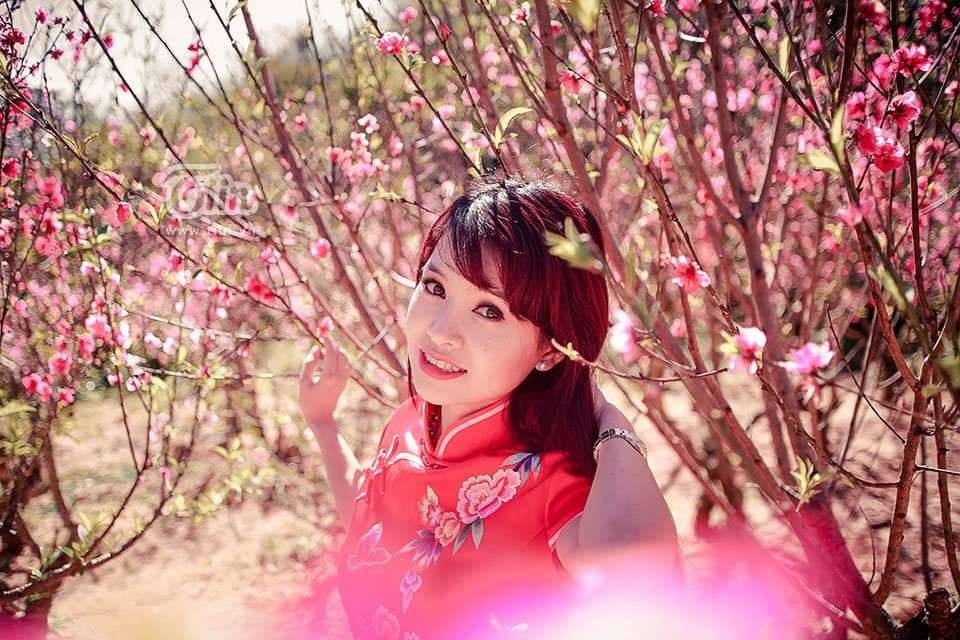Thung lũng Đào hoa Mười Lời Thung lũng Đào hoa Mười Lời