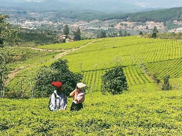 dalat canyon tour dalat canyon tour