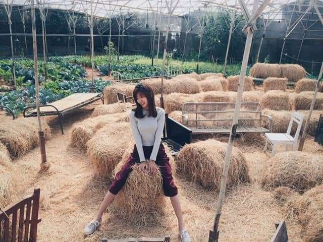 dalat canyon tour dalat canyon tour