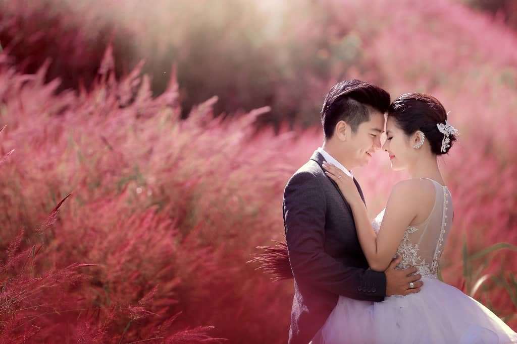 cỏ hồng đ&agrave; lạt
